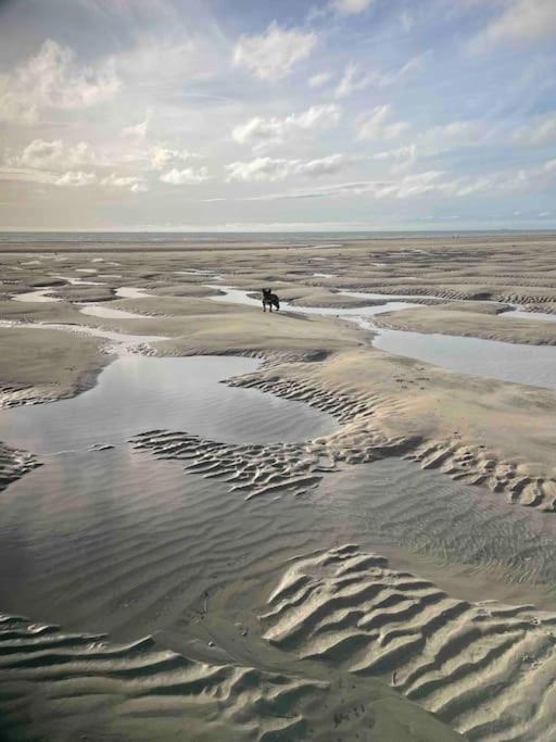 Appartement A 100M De La Plage Neufchâtel-Hardelot エクステリア 写真